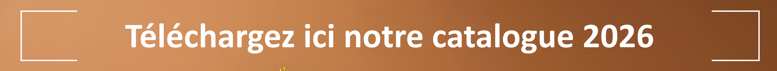 Accéder à notre catalogue de formations 2025